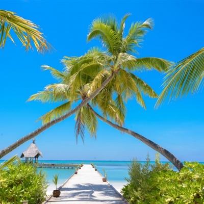 bob体育下载链接